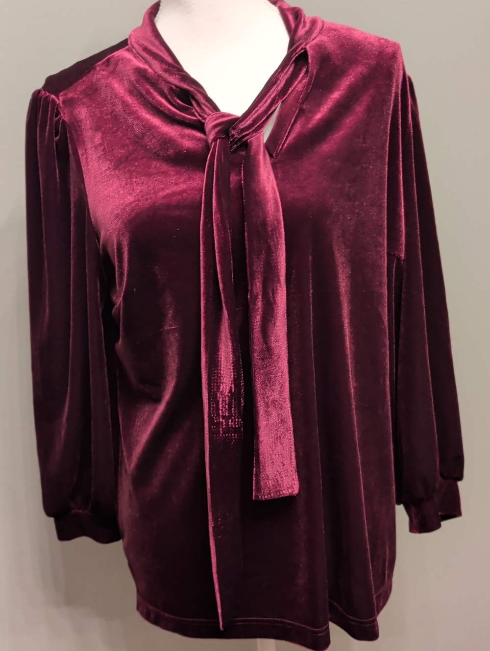 Belle by Kim Gravel Velvet Tie-Neck Blouse in Deep Burgundy